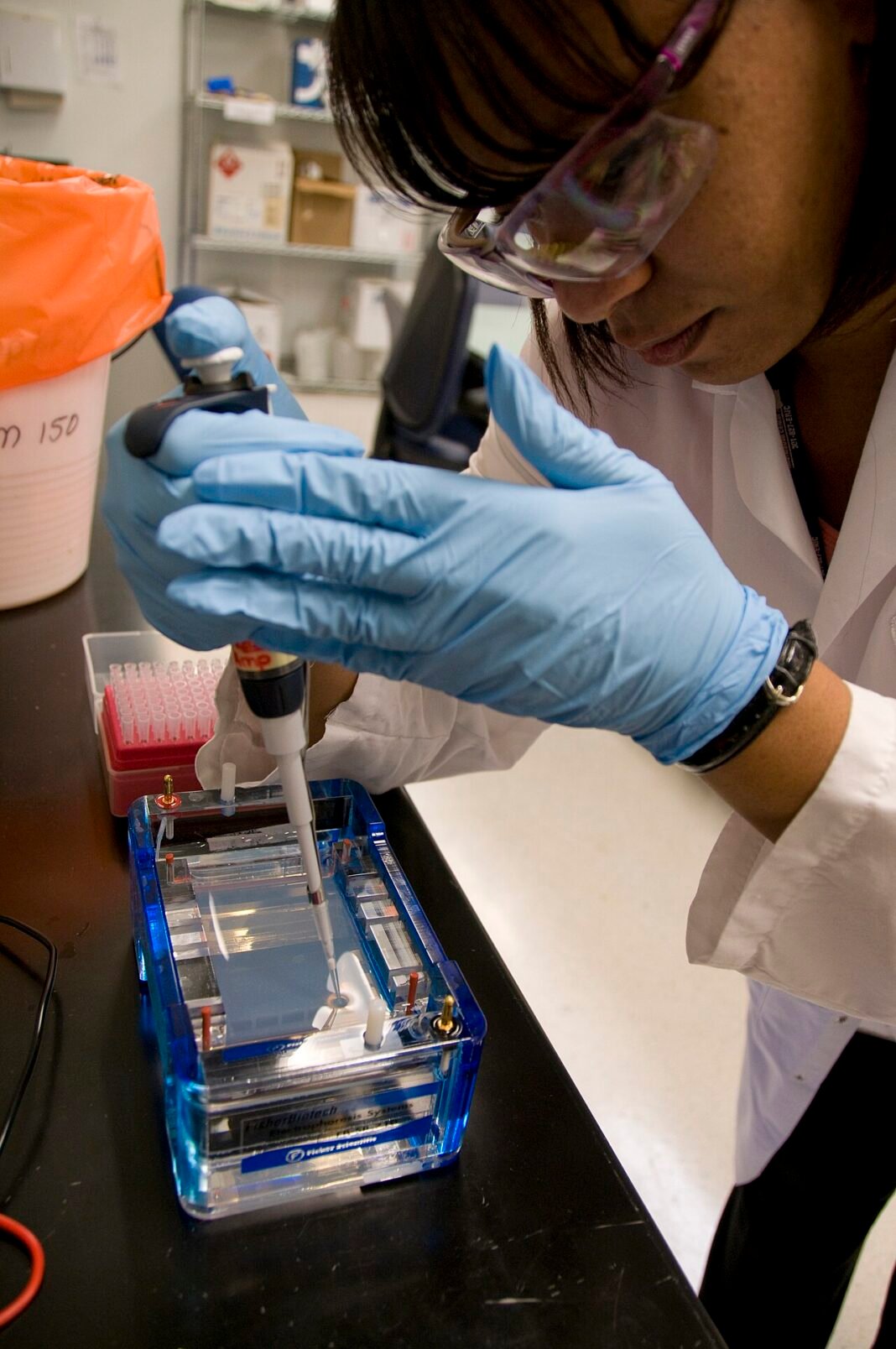 FDA microbiologist prepares DNA samples for gel electrophoresis analysis