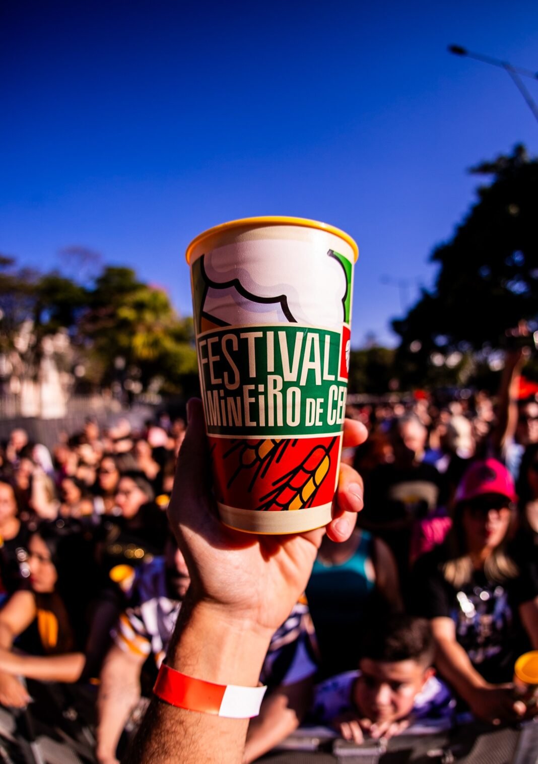 FESTIVALMINEIRODECERVEJA-637