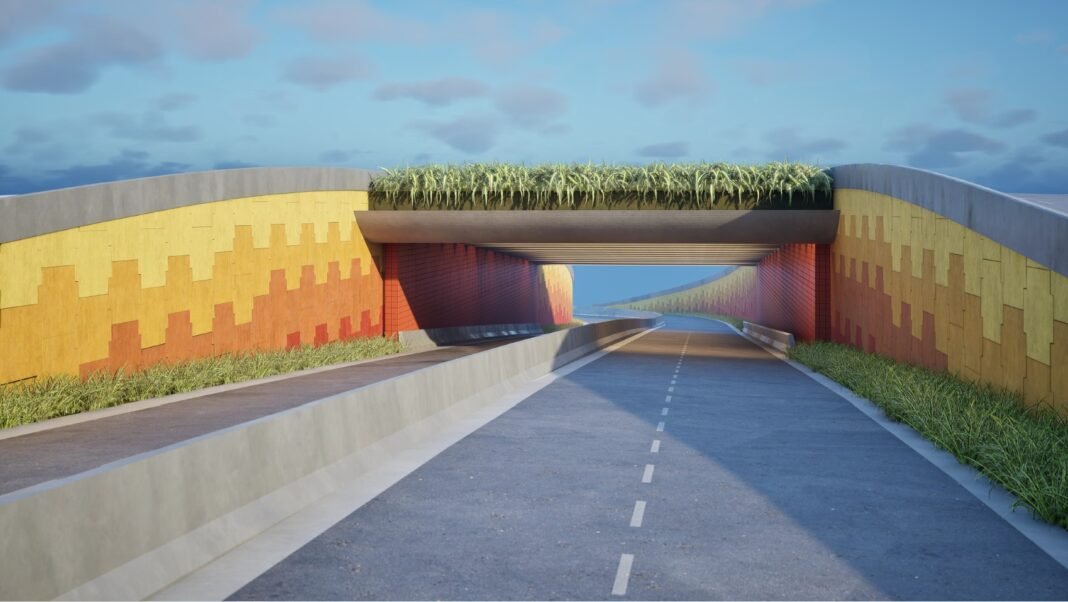 Perspectiva-Retorno