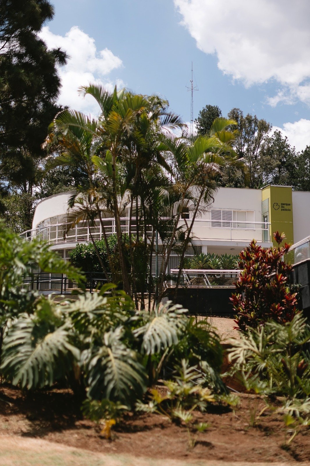 Dia da Árvore tem replantio de mudas de Burle Marx no Parque do Palácio
