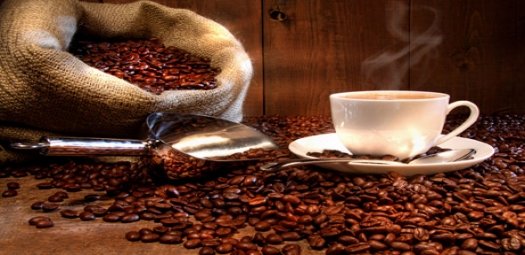 cafe_mata14